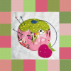 pincushion applique quilt block with pieced border